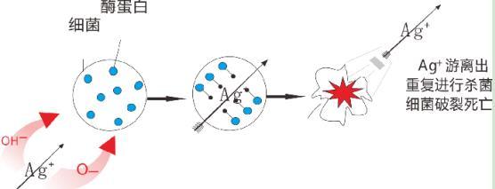 龍勝三層納米抗菌水管有效嗎？配圖解原理，99.99%抗菌率不是蓋的！