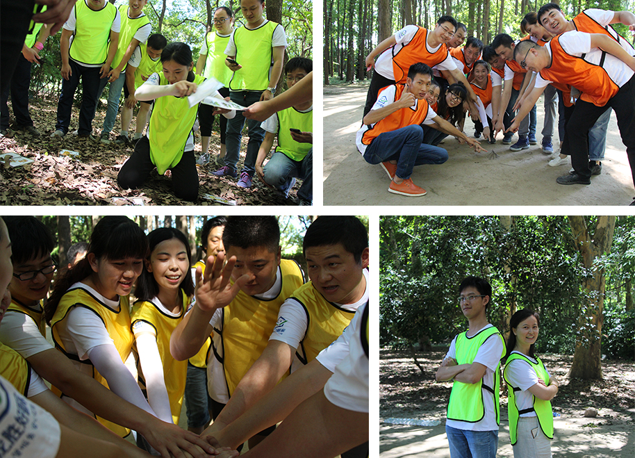 龍勝管拓展訓練燃爆夏日，我們“激情不減，活力無限”
