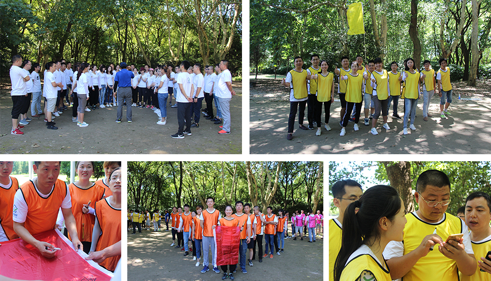 龍勝管拓展訓練燃爆夏日，我們“激情不減，活力無限”
