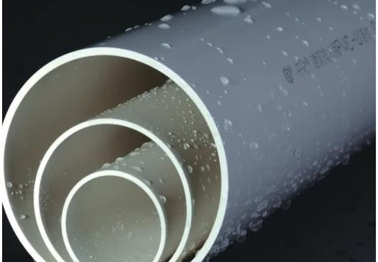 中財區域代理是什么意思？中財代理需要多少錢？