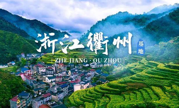 衢州ppr水管加盟代理哪個品牌好？選擇國產還是進口品牌？